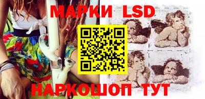 apvp Бийск