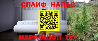 apvp Бийск