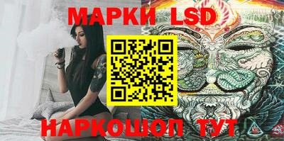 apvp Бийск