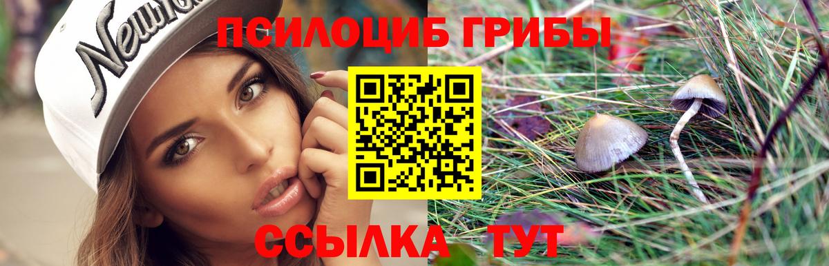 Псилоцибиновые грибы ЛСД  Псилоцибиновые грибы мицелий  купить наркотики цена  Вход с VPN  Каменск-Шахтинский 