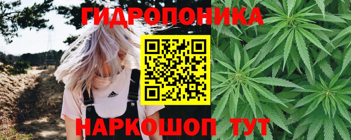 Марихуана планчик Каменск-Шахтинский